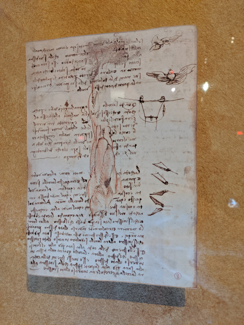 Illustration for article titled Pictures from the Reagan Library: The da Vinci Exhibit